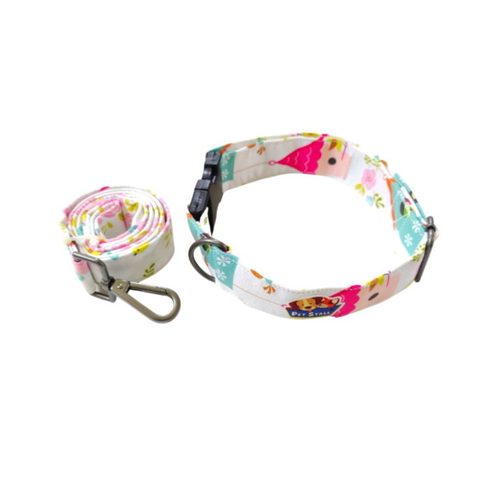 leash and collar for dogs