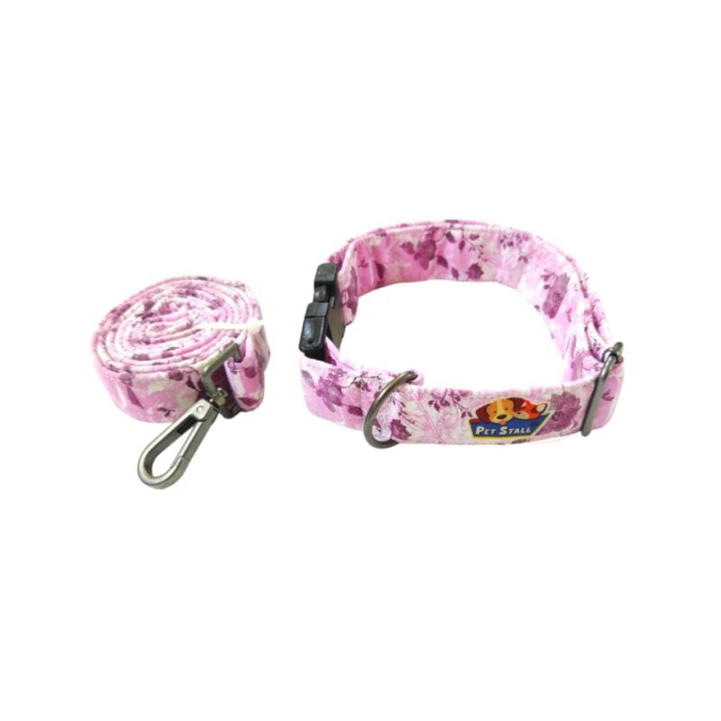 leash and collar for dogs