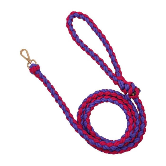 paracord leash for dogs