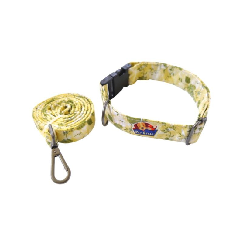 leash and collar for dogs