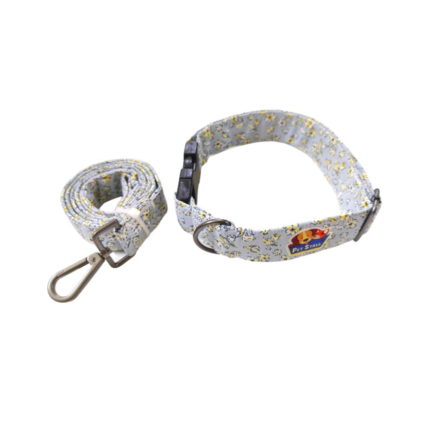 leash and collar for dogs