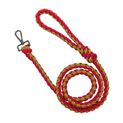 paracord leash for dogs