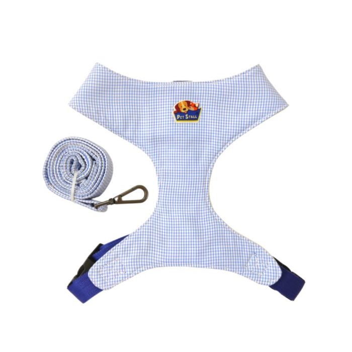 leash and harness for dogs