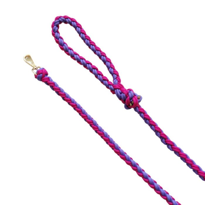 paracord leash for dogs