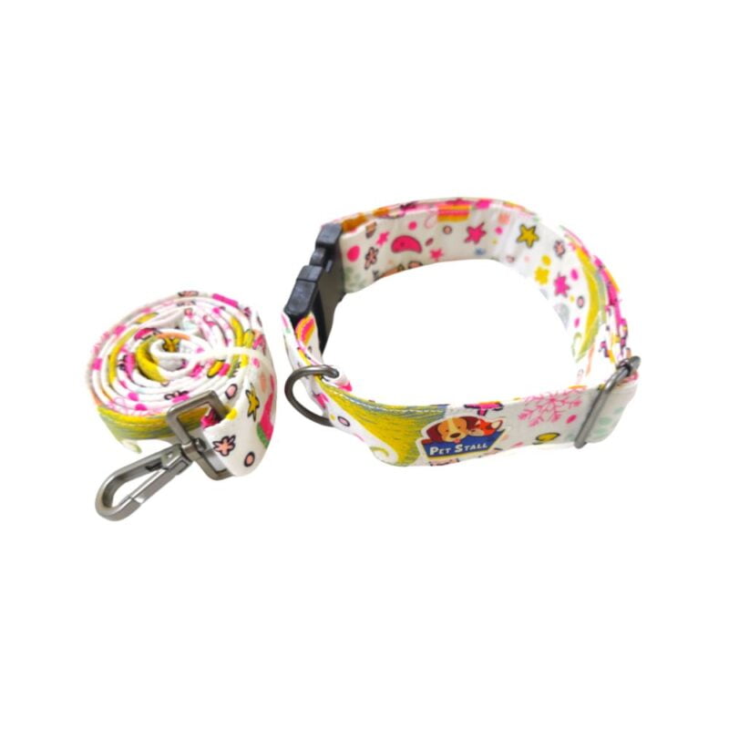 leash and collar for dogs