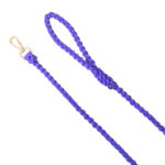 paracord leash for dogs