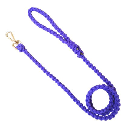 paracord leash for dogs