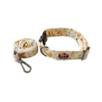 leash and collar for dogs