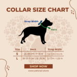 Collar Size Chart for Dogs